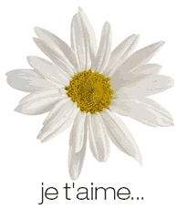 Mon amour je t'aime ^^