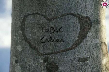 Je t'aime