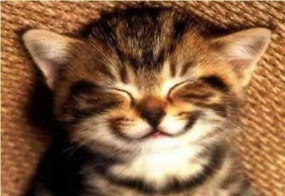 Happy Face