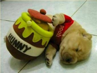 Winnie